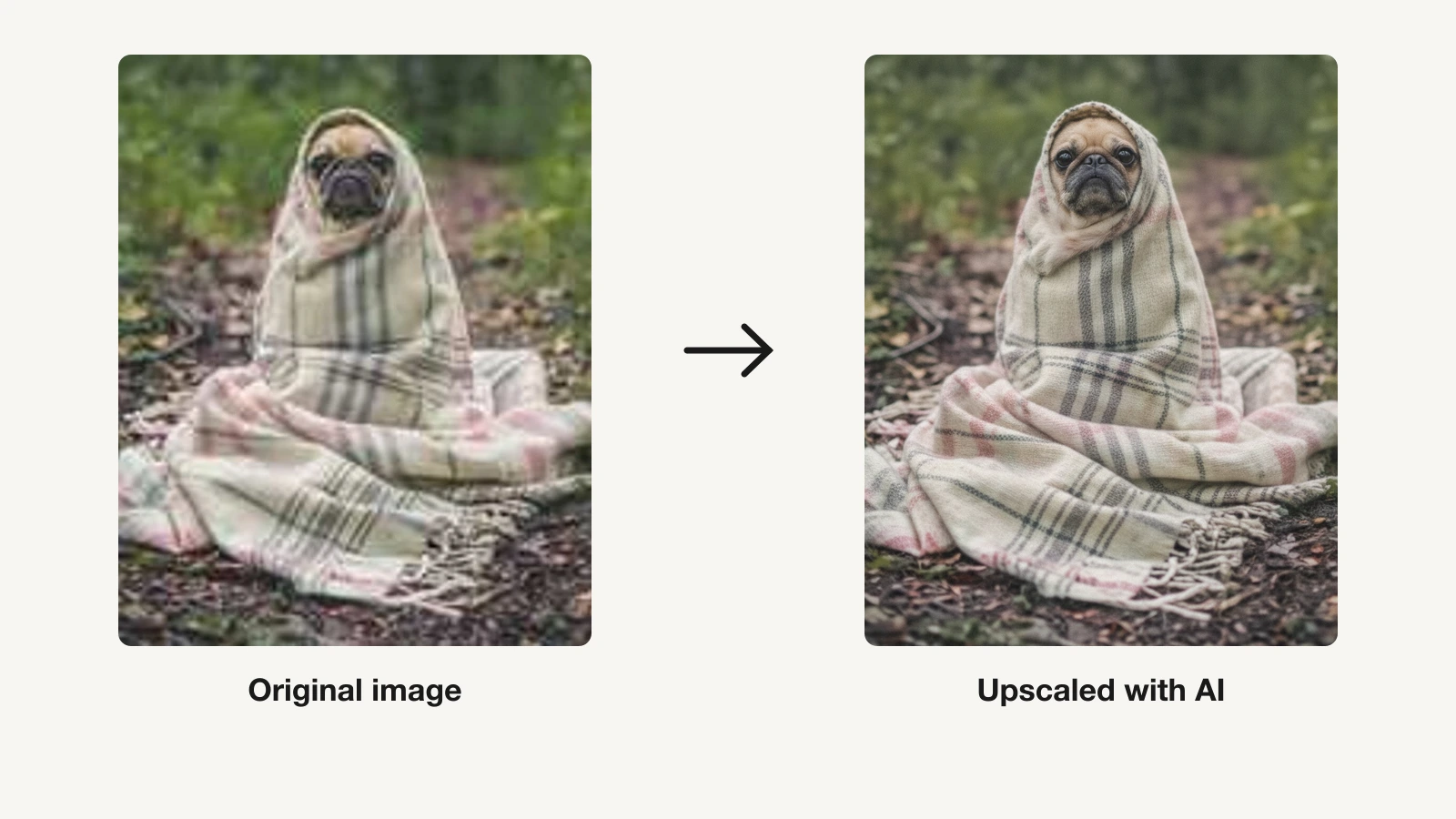 Before and after example of a photo upscaled with AI, showing sharper detail